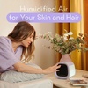 image:imageEvapolar Evachill Portable AC Unit Lavanda  Small Personal Air Conditioner Mini Evaporative Air Cooler For Desk and Camping Swamp Cooler